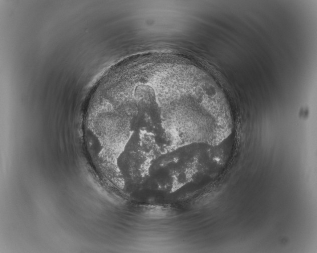 X0000113980347200910231713