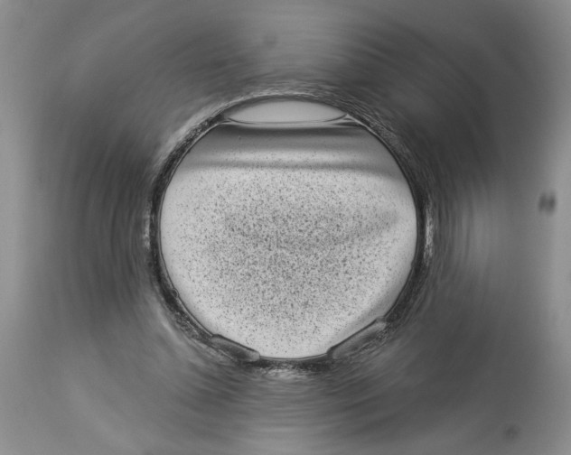 X0000113980348200910231713
