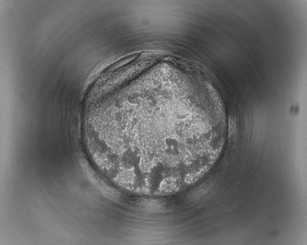 X0000113980349200910231713