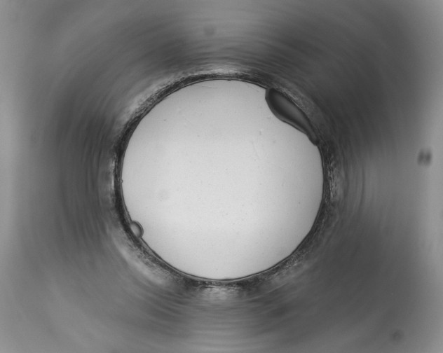 X0000113980350200910231713