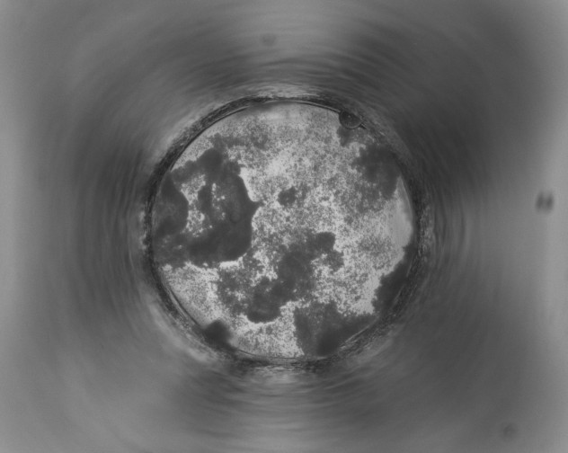 X0000113980351200910231713