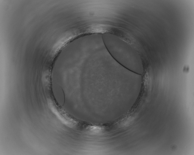 X0000113980352200910231713