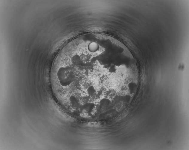 X0000113980353200910231713
