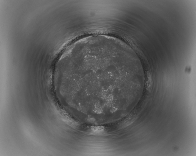 X0000113980355200910231713