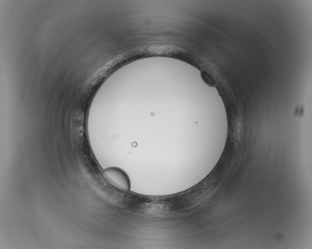 X0000113980356200910231713