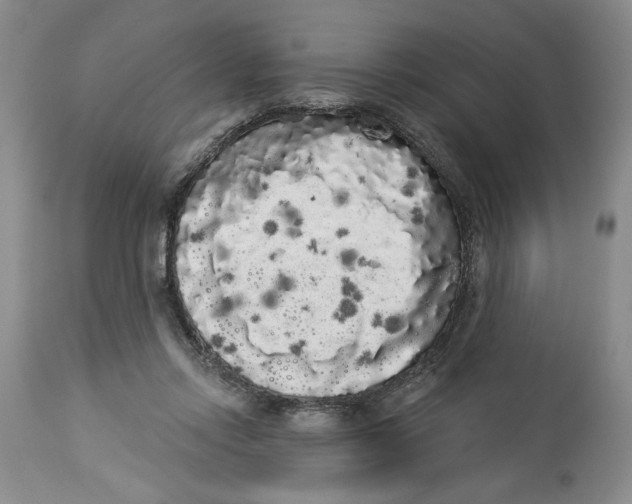 X0000113980358200910231713