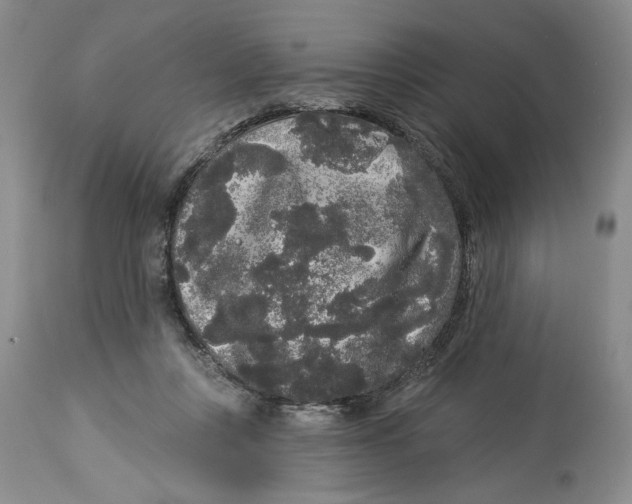 X0000113980359200910231713