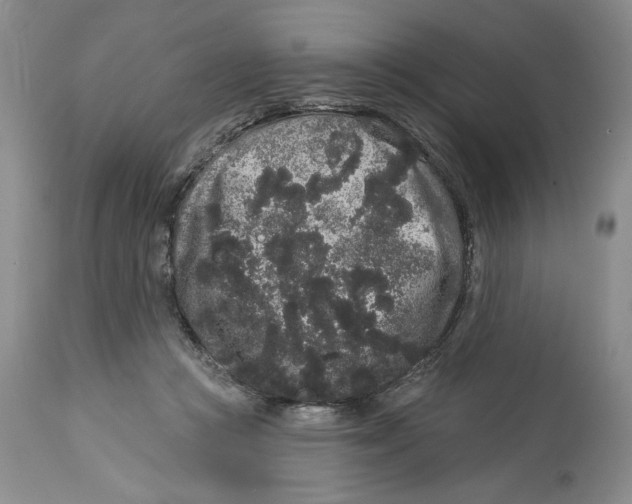 X0000113980361200910231713