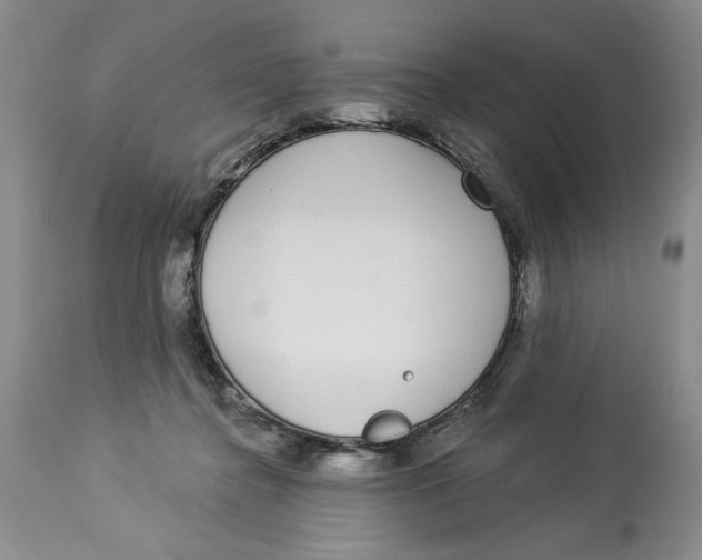 X0000113980364200910231713