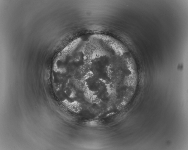 X0000113980365200910231713