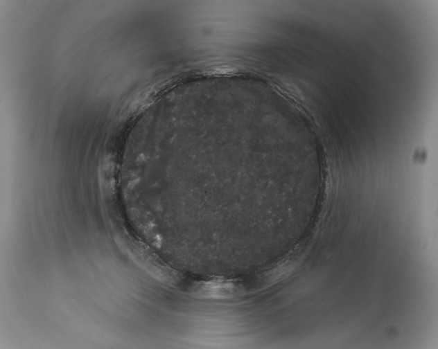 X0000113980366200910231713