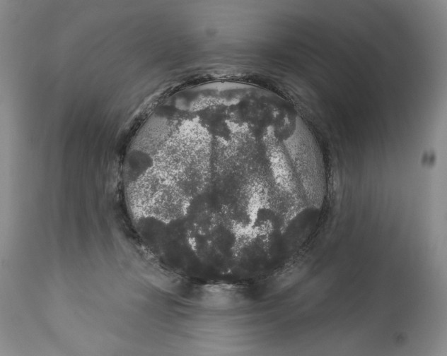 X0000113980367200910231713