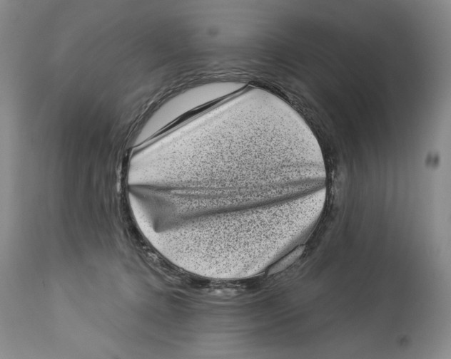 X0000113980368200910231713