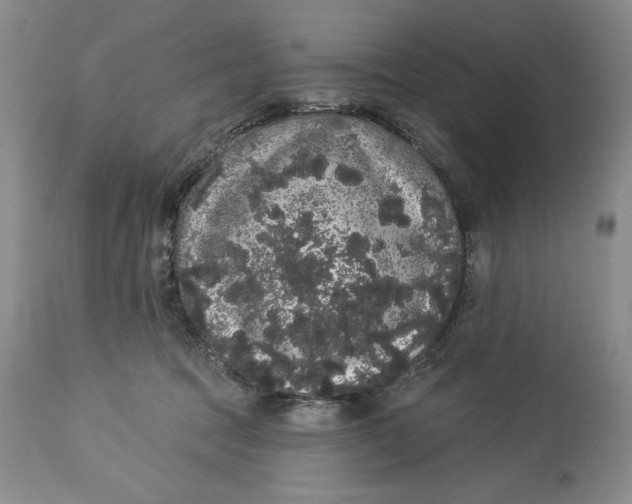 X0000113980369200910231713