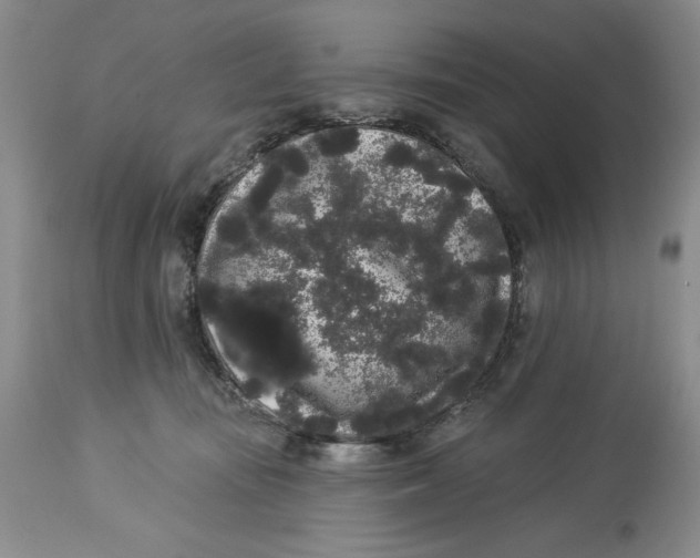 X0000113980371200910231713