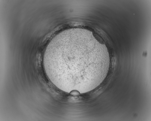 X0000113980372200910231713
