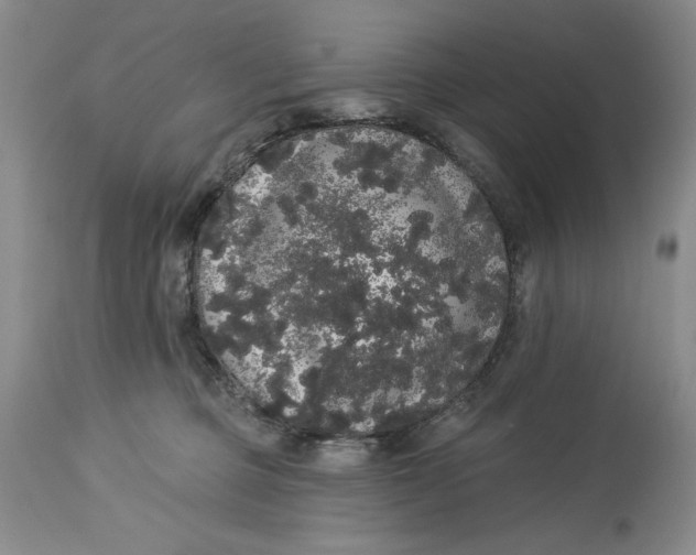 X0000113980373200910231713