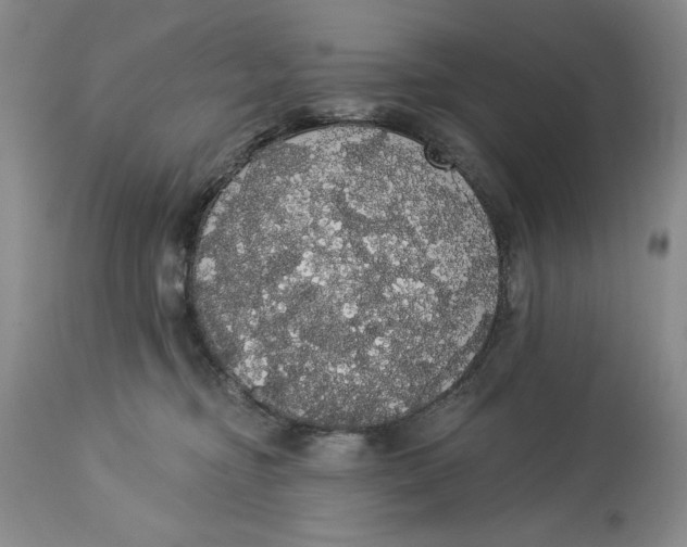 X0000113980374200910231713