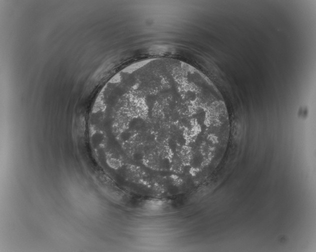 X0000113980375200910231713