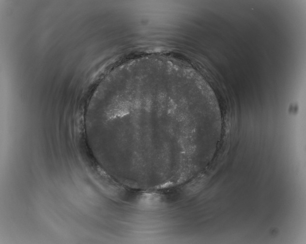 X0000113980376200910231713