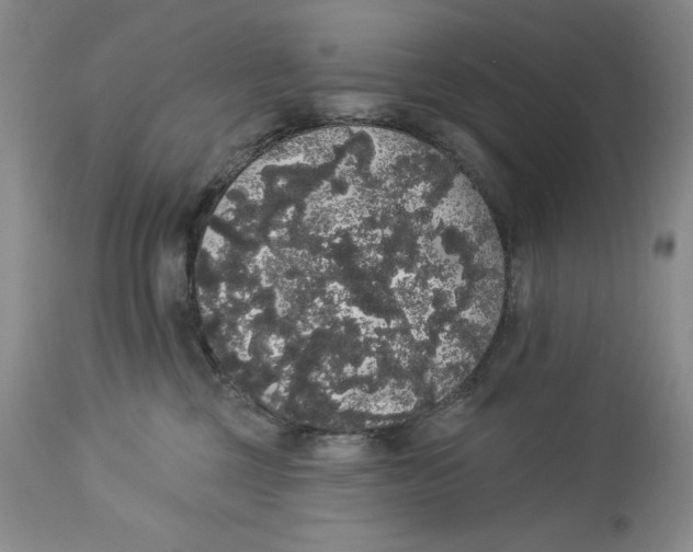 X0000113980377200910231713