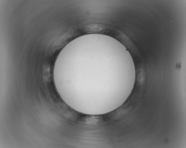 X0000113980378200910231713