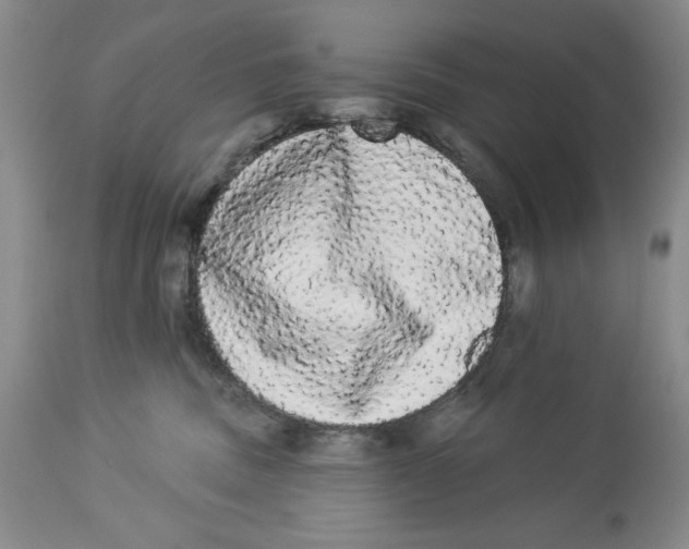 X0000113980379200910231713