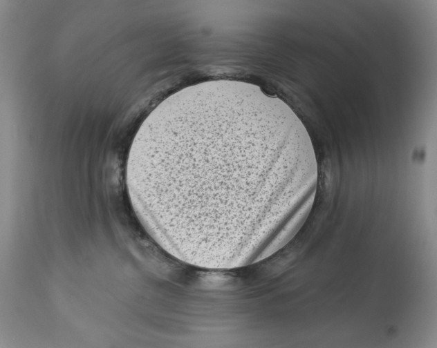 X0000113980380200910231713