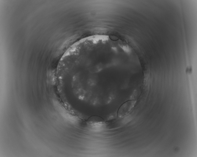 X0000113980383200910231713