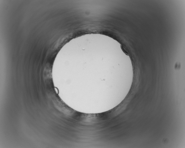 X0000113980384200910231713
