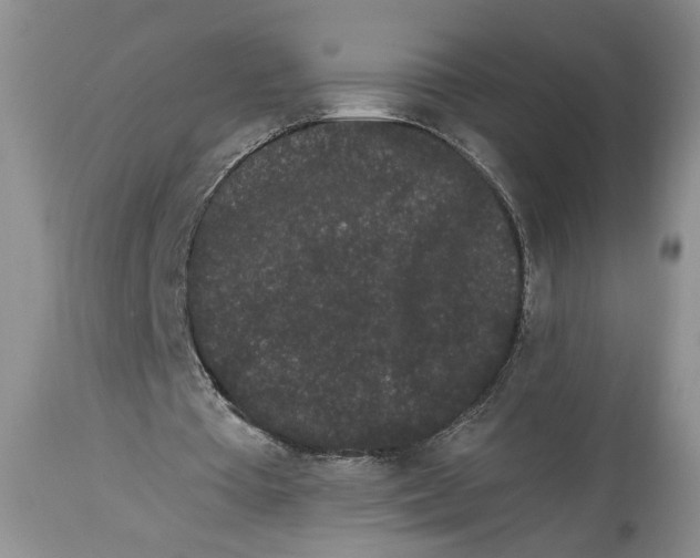 X0000113980385200910231713