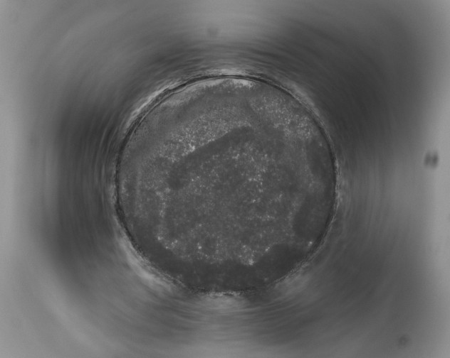 X0000113980386200910231713