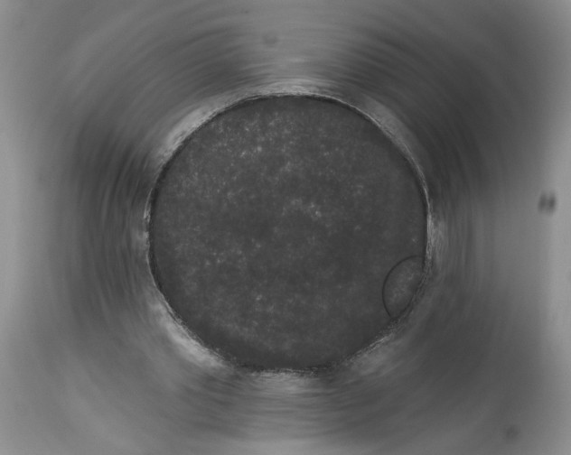 X0000113980389200910231713