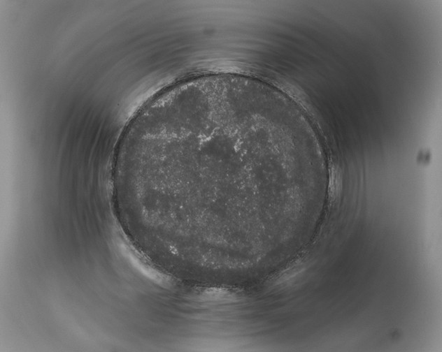 X0000113980390200910231713