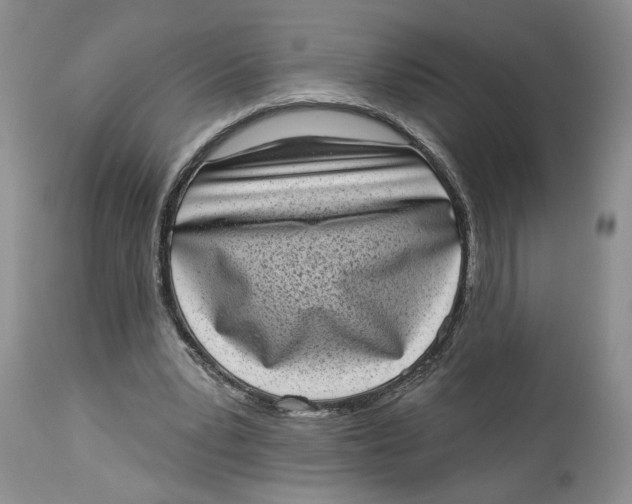 X0000113980391200910231713