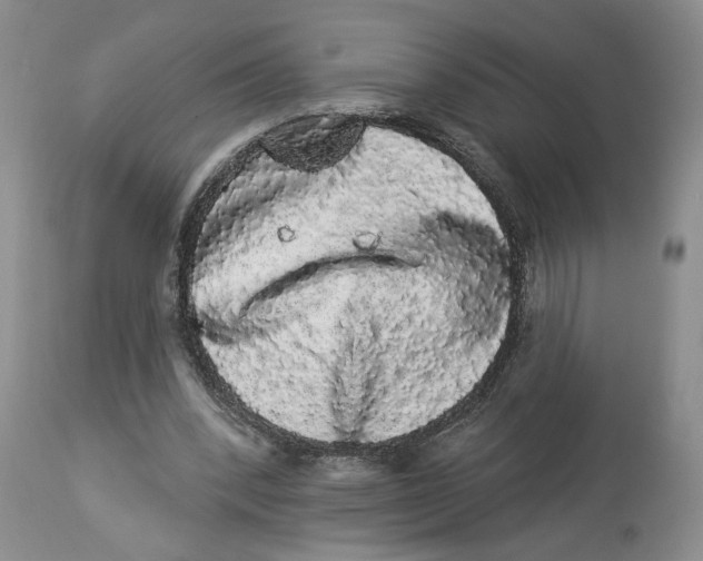 X0000113980392200910231713