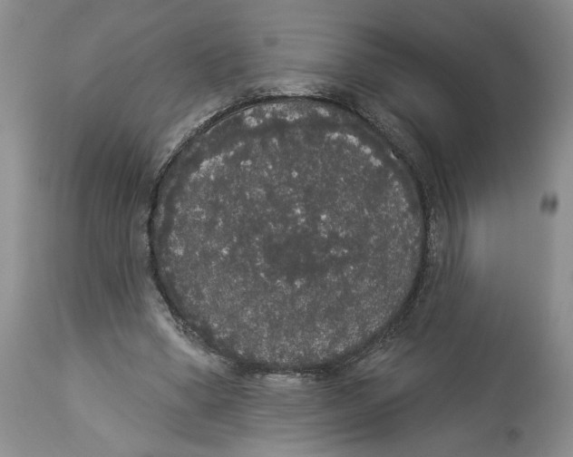 X0000113980394200910231713