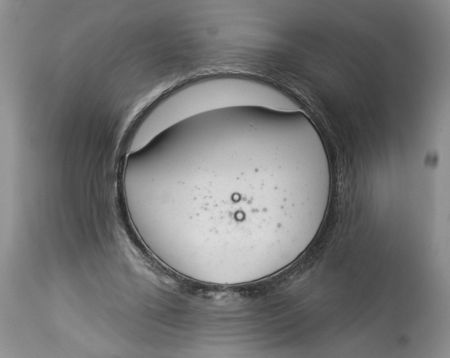 X0000113980395200910231713