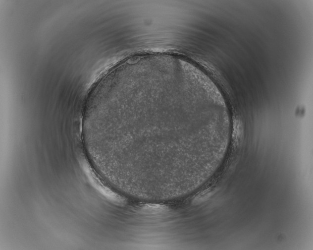 X0000113980397200910231713