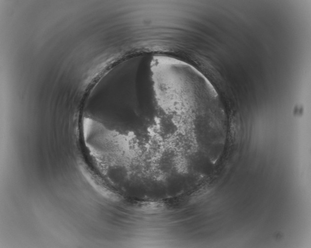 X0000113980398200910231712