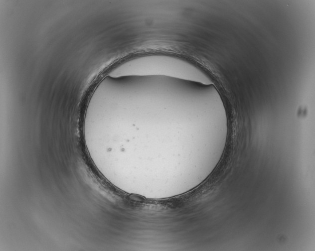 X0000113980399200910231712