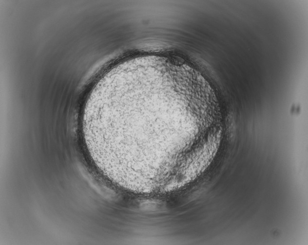 X0000113980400200910231712