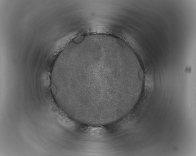 X0000113980401200910231712