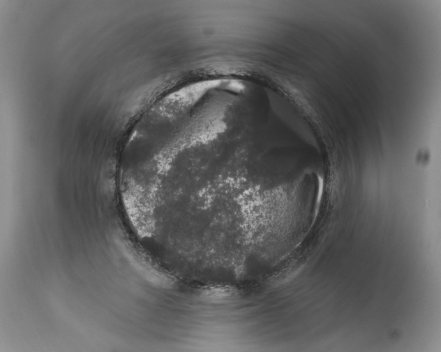 X0000113980402200910231712