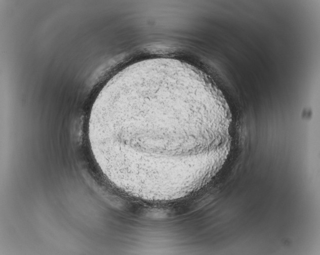 X0000113980404200910231712