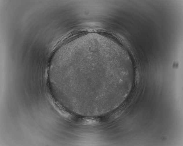 X0000113980405200910231712