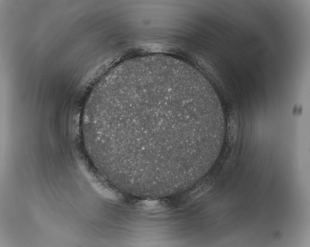 X0000113980406200910231712