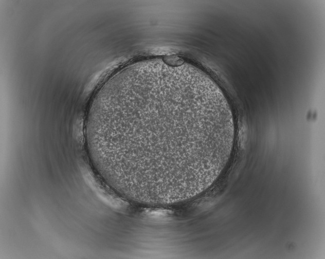 X0000113980407200910231712