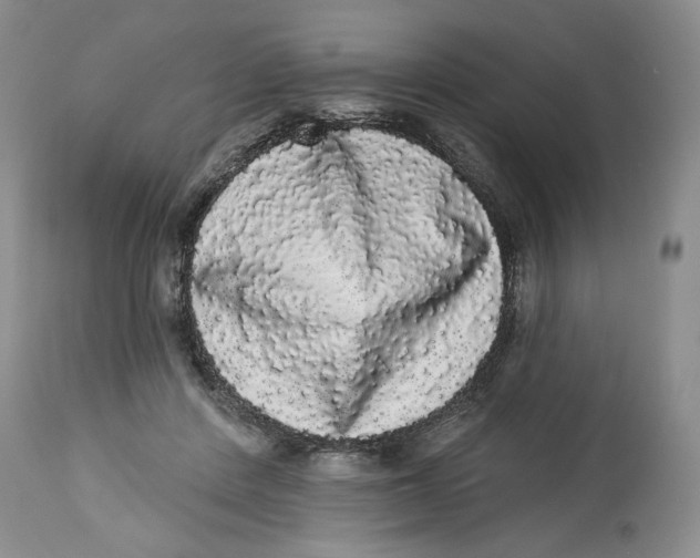 X0000113980408200910231712