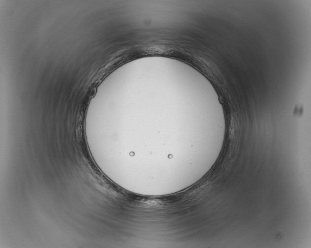 X0000113980409200910231712